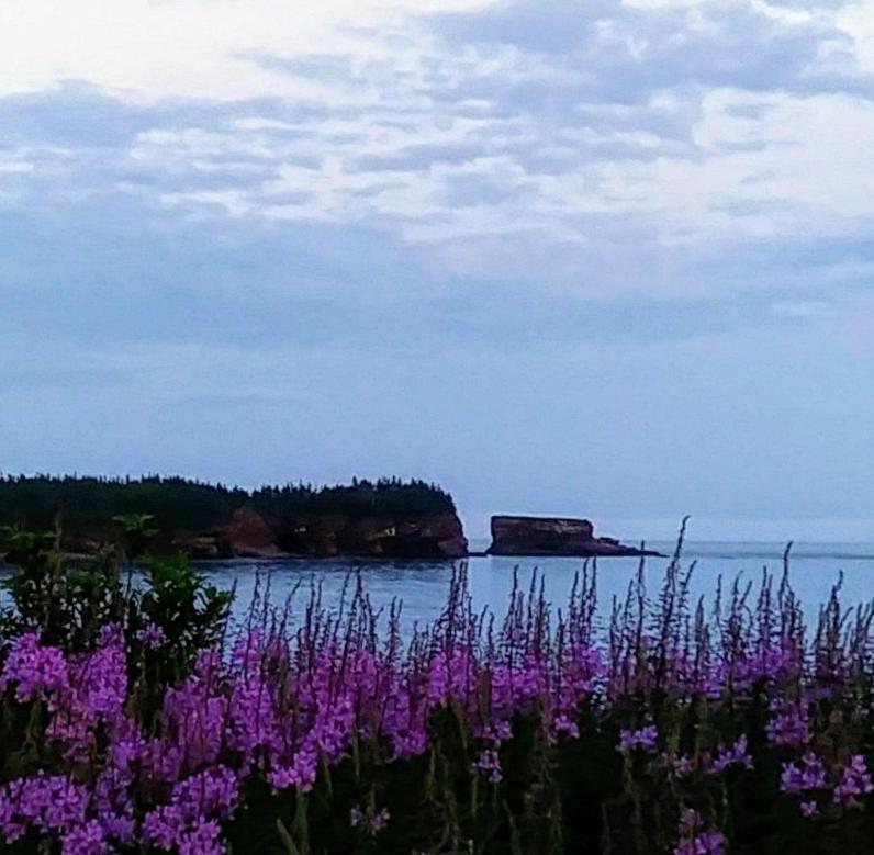 Moore'S Specialties Fundy Bay House Rental Gardner Creek 외부 사진