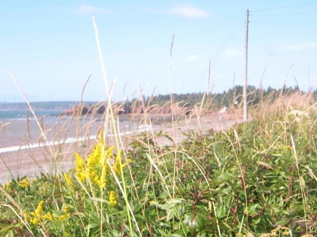 Moore'S Specialties Fundy Bay House Rental Gardner Creek 외부 사진