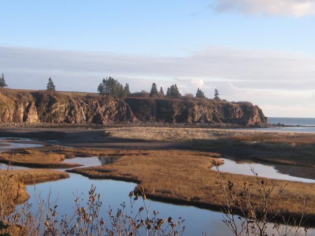 Moore'S Specialties Fundy Bay House Rental Gardner Creek 외부 사진