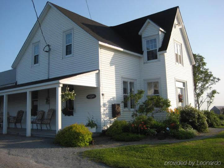 Moore'S Specialties Fundy Bay House Rental Gardner Creek 외부 사진