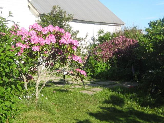 Moore'S Specialties Fundy Bay House Rental Gardner Creek 외부 사진