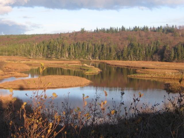 Moore'S Specialties Fundy Bay House Rental Gardner Creek 외부 사진