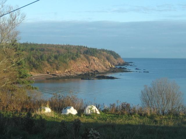 Moore'S Specialties Fundy Bay House Rental Gardner Creek 외부 사진