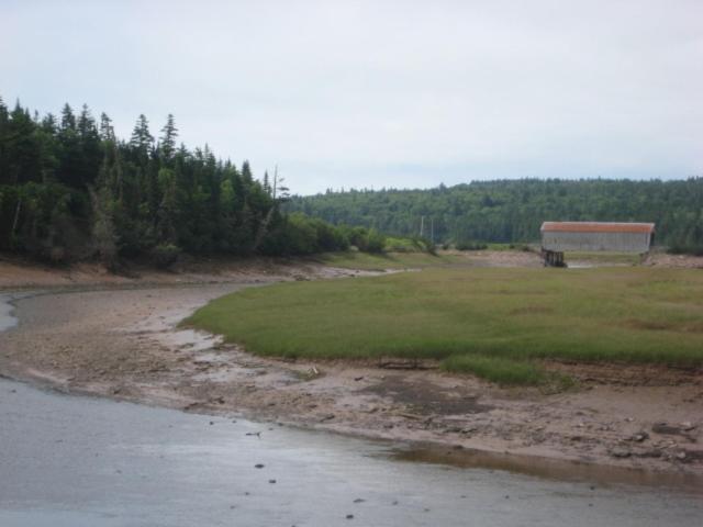 Moore'S Specialties Fundy Bay House Rental Gardner Creek 외부 사진